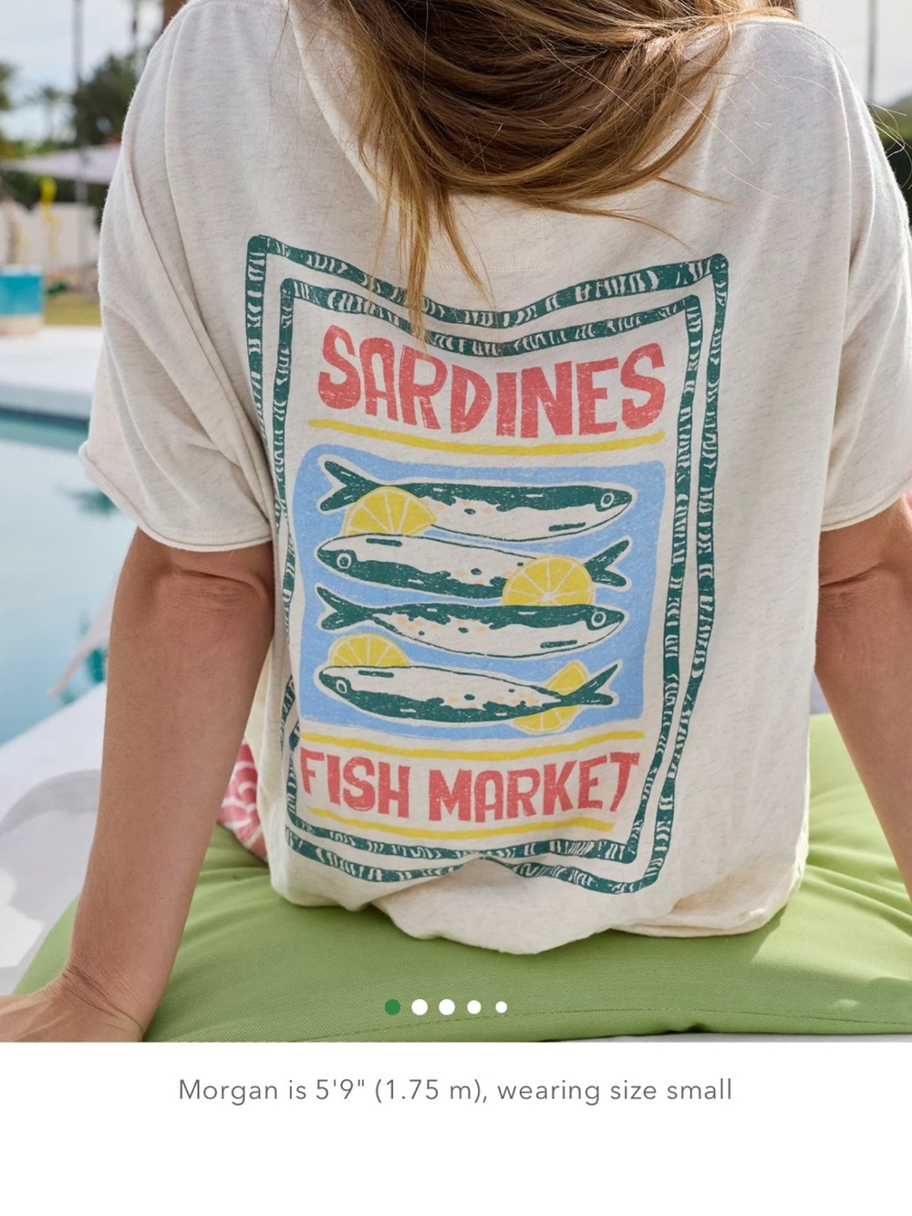 aerie Cream Short Sleeve Tee with sardine fish Graphic on back